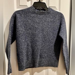 J. crew Lambs Wool Blend Long Sleeve Knit Pullover - Adult Small/Kids Large